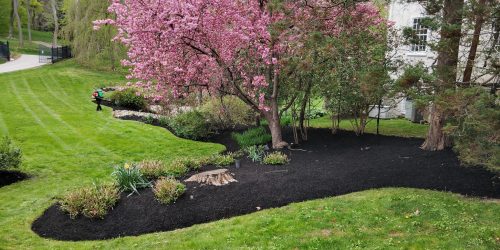 Landscaping, Landscaping Company, Landscaping Contractor, Landscaping Company, Mulch Installation, Plant Installation, Flower Beds, Free Estimates