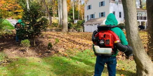 Leaf Removal, Leaf Removal service, Fall Clean Up, Spring Clean Up, Free Estimate