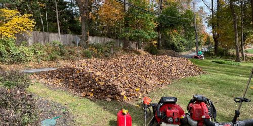Leaf Removal, Leaf Removal service, Fall Clean Up, Spring Clean Up, Free Estimate