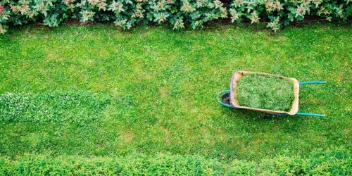Leaf Removal, Leaf Removal service, Fall Clean Up, Spring Clean Up, Free Estimate