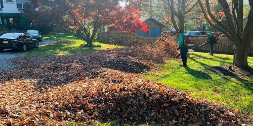 Leaf Removal, Leaf Removal service, Fall Clean Up, Spring Clean Up, Free Estimate