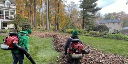 Leaf Removal, Leaf Removal service, Fall Clean Up, Spring Clean Up, Free Estimate