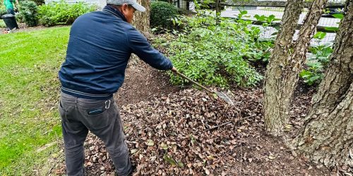 Leaf Removal, Leaf Removal service, Fall Clean Up, Spring Clean Up, Free Estimate