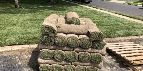 Sod Installation, Sod Installer, New Sod, Sod Company, Sod Contractor, Free Estimate